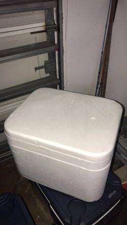 Foam cooler