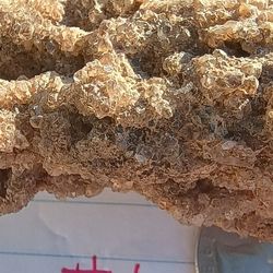 CRYSTAL ENCRUSTED PETRIFIED WOOD