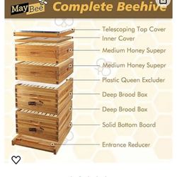 Maybee Beehive Honey Making, 10 Frames