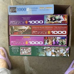 Puzzles 1000 Pieces