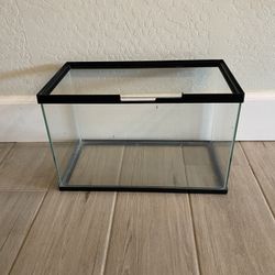 Top Fin 3.8 Gallon Fish Tank