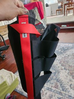 Dog brace