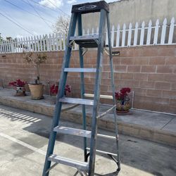Ladder - 7ft