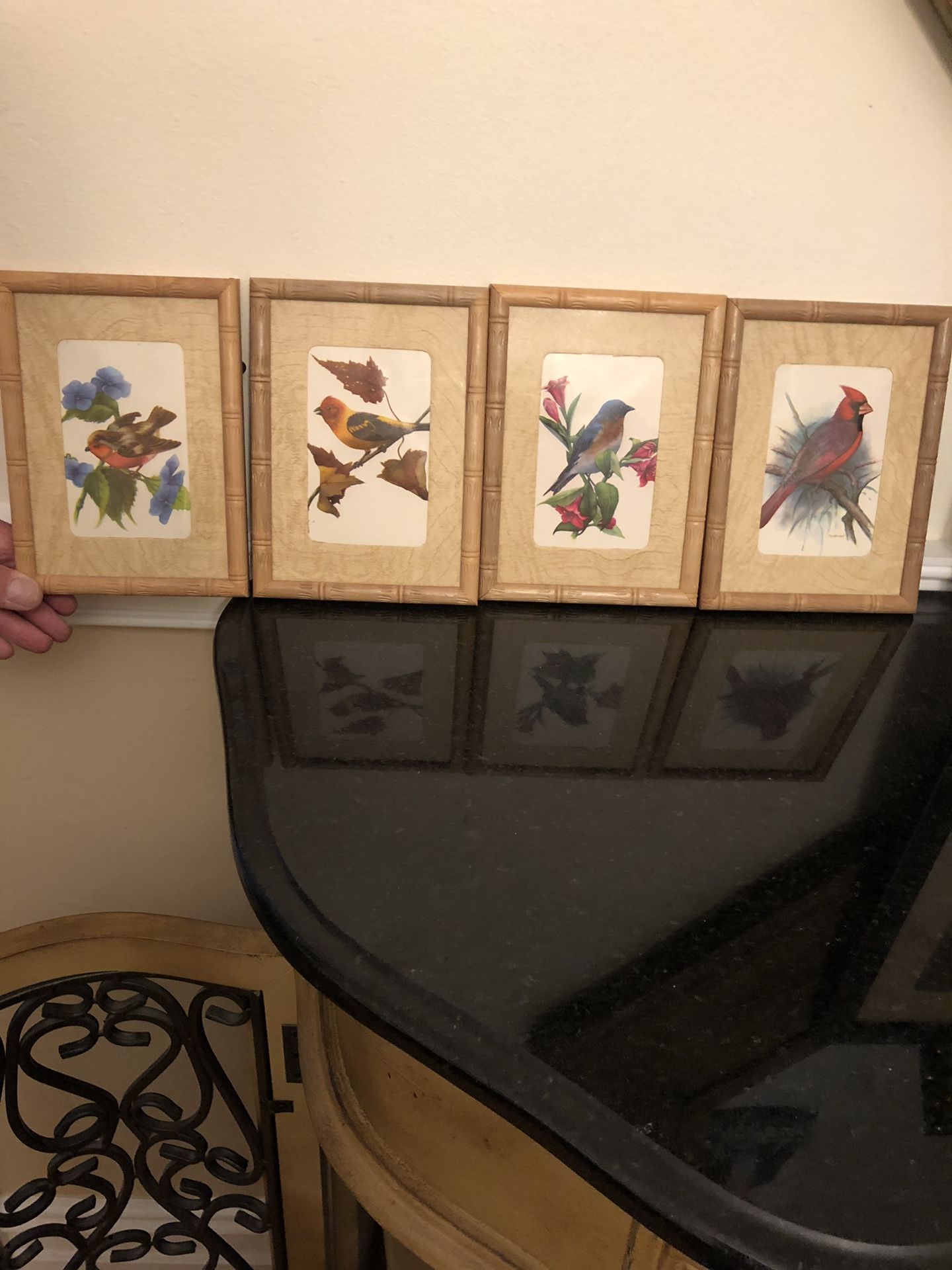 VINTAGE A. LAMBERT PRODUCT 5 by 7 COLOR BIRD PRINTS #151