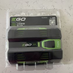 EGO POWER+ 56 -Volt, 5 Ah 1 -Pack Lithium Ion (Li-ion) Battery