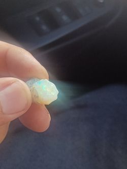 Raw OPAL