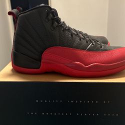 Nike Jordan Flu Game 