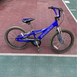 Schwinn Bike