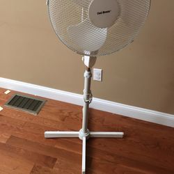 Fan 