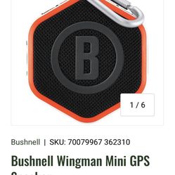 Golf Speaker