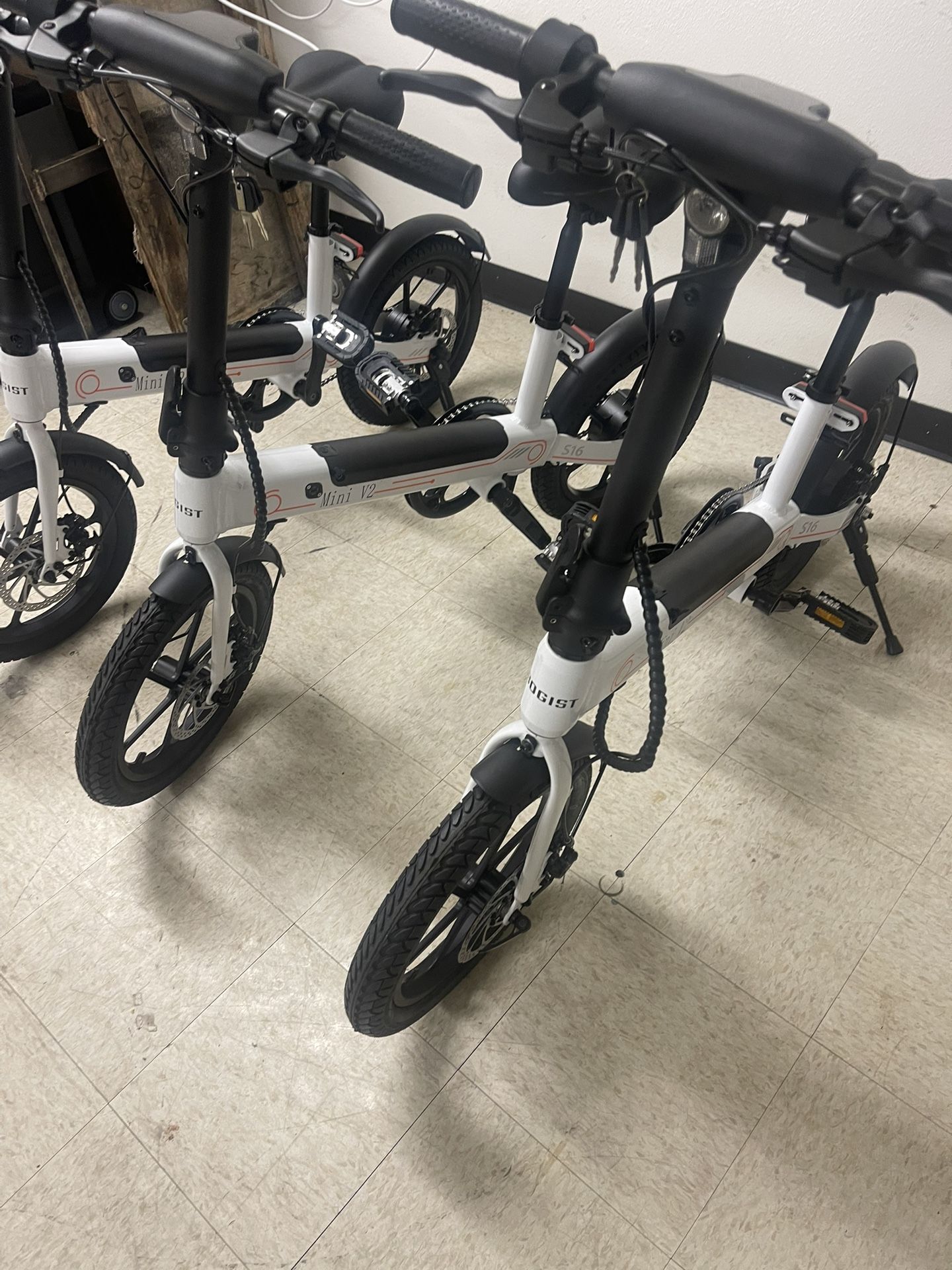 Adult Ebike 