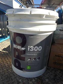 4 gall eggs shell white paint