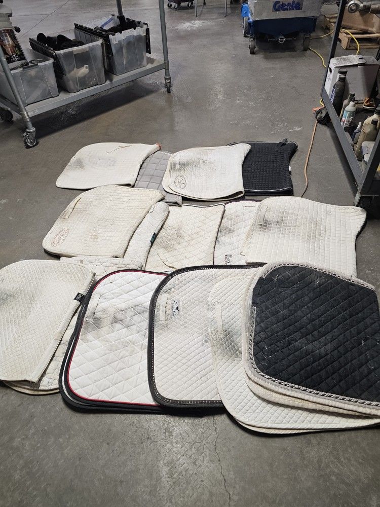 Dressage Or Jumping Saddle Pads
