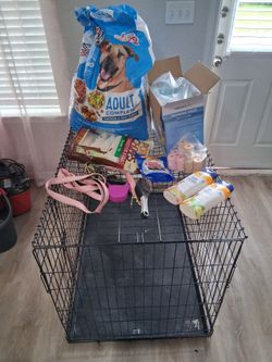 Dog kennel