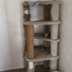 Cat tower