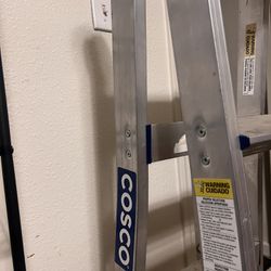 Costco Ladder 