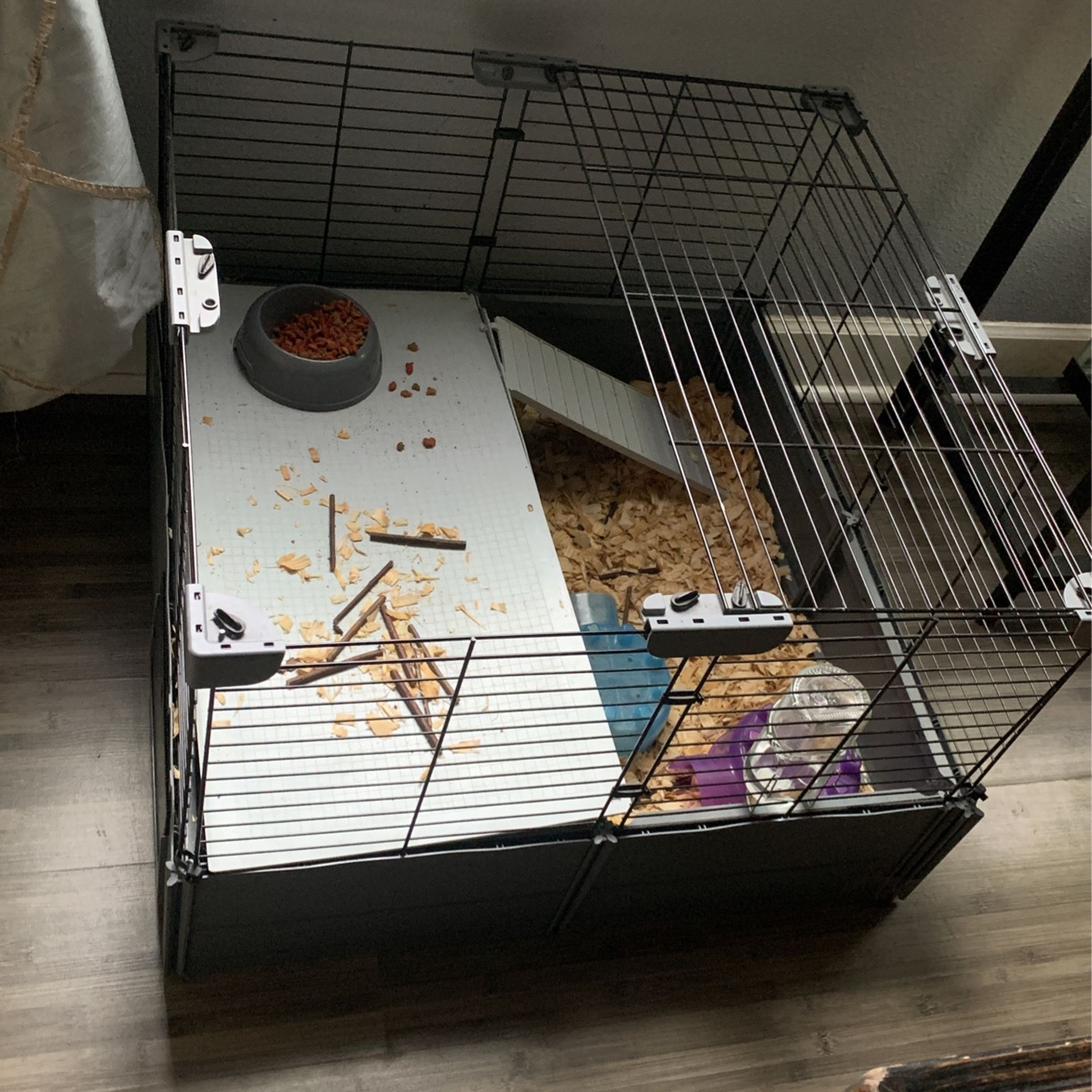 Hedgehog and Cage With Extension Included