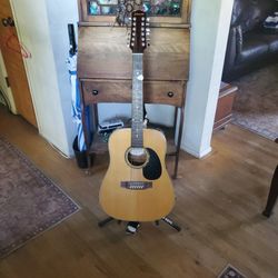 Johnson 12 String 
