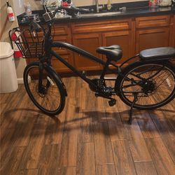 Narrake Electric Bike