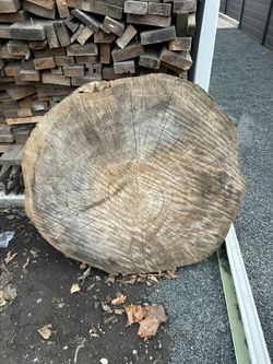 tree stump for table top