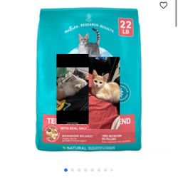 Kitten Food