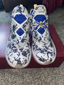 Lebron Soilder XIV 9.5