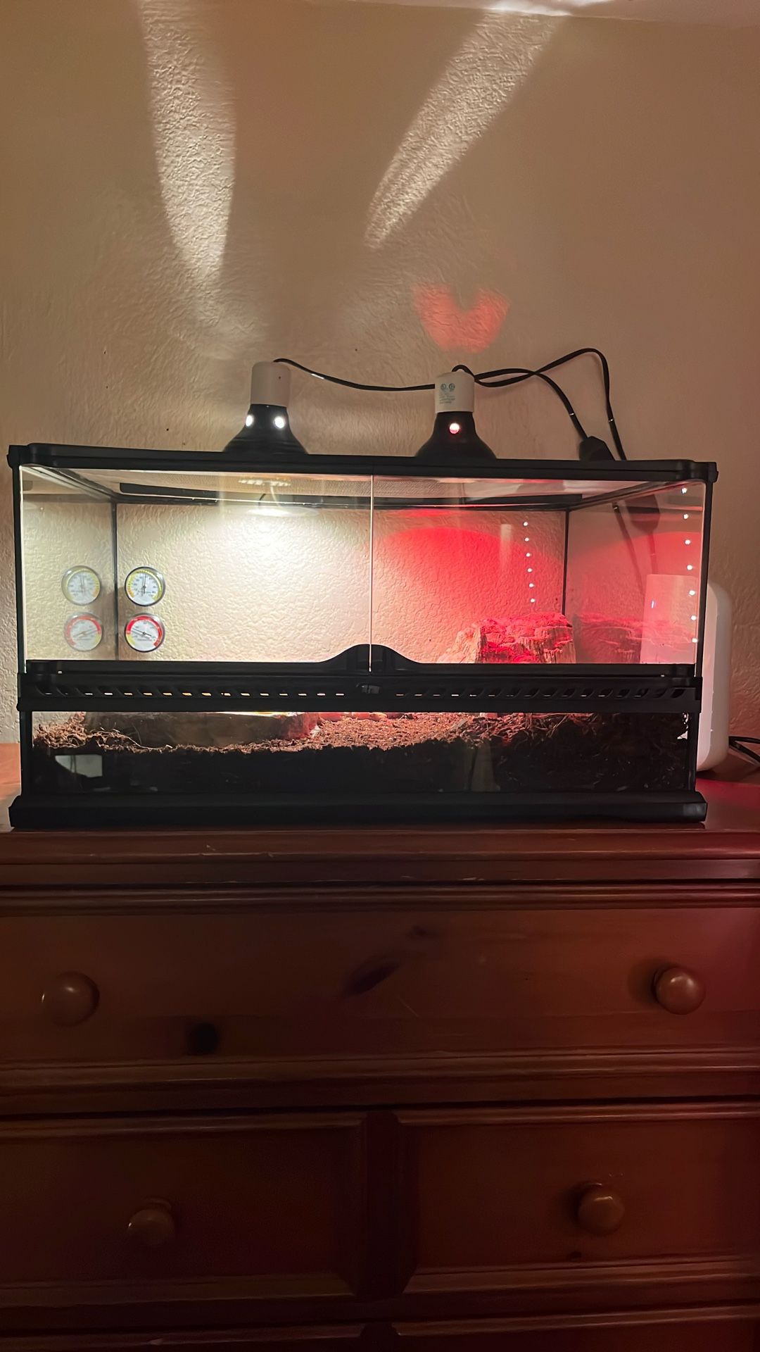 Reptile Cage Only