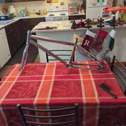 Vintage 1984 Skyway Ta Frame And Forks