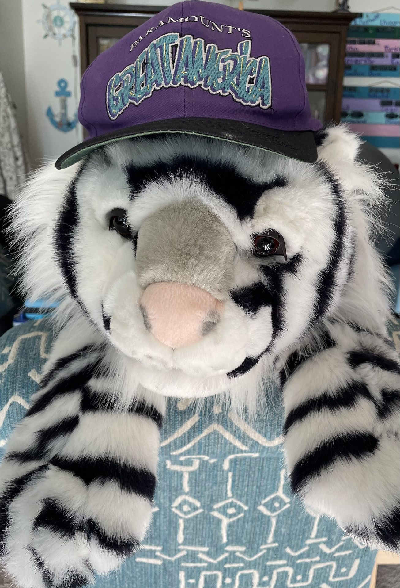 One Size Fits All Purple, Green, Black Paramount’s Great America Cap