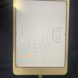 iPad Mini 2