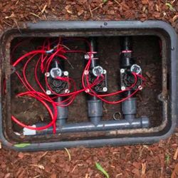 Problems With Irrigation? Problemas Con Irrigación?