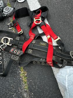 Safety Harness