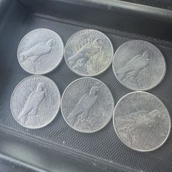 Morgan Dollars P Dollars And Silver For Sale
