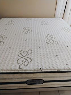 Cama ( Bed ) everything