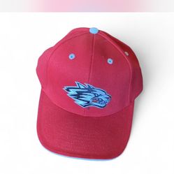 New Mexico Lobos basketball team cap