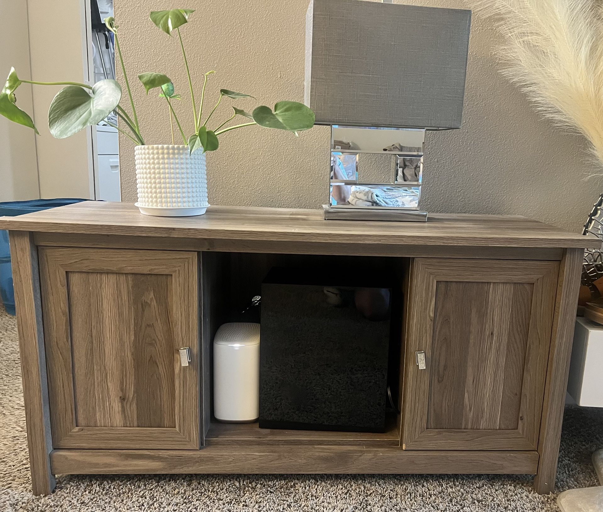 TV Stand, For TVs up to 47", Salt Oak