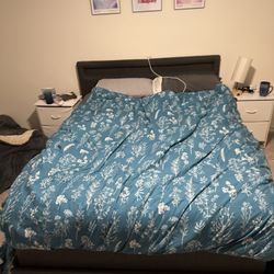 Mattress, Bed Frame With Storage, Box Spring