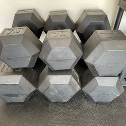 Titan Fitness Dumbbells (70s, 85s, & 100s) 