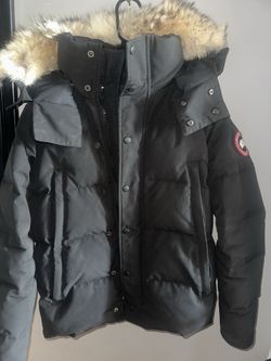 Size small Canada goose