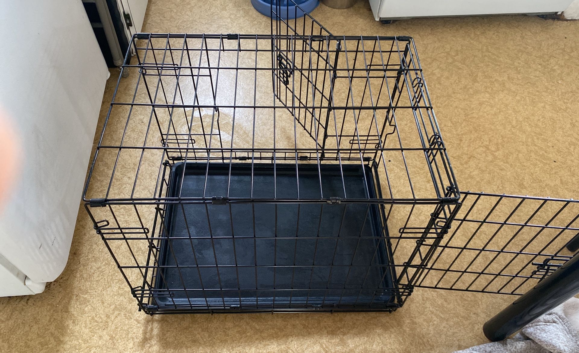 Dog Cage