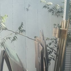 Free Moving Boxes. All Sizes 