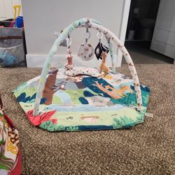 Baby Activity Mat And Ball Pitt