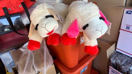 Large size lamb chops for dogs