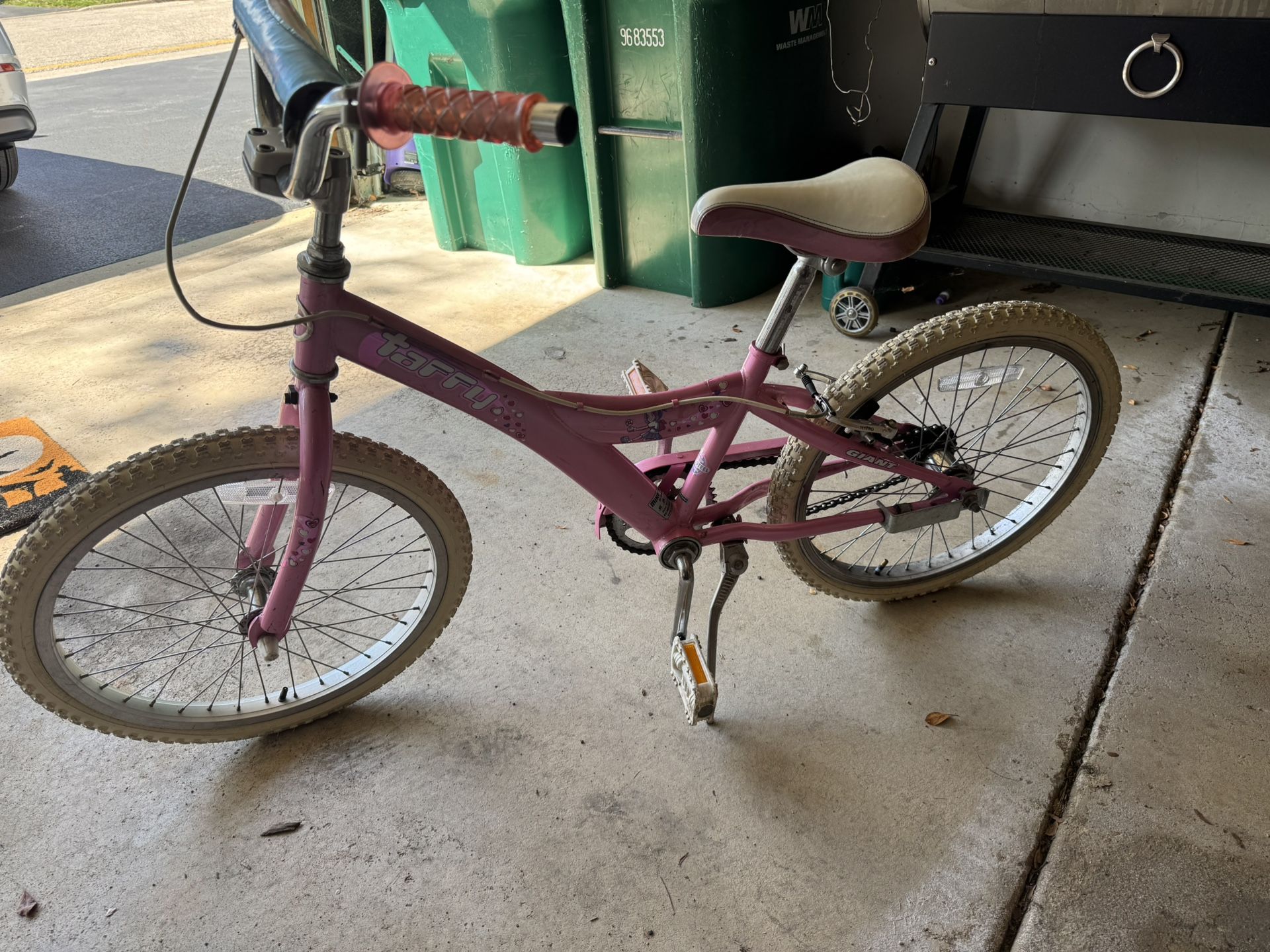 Pink Giant 20” Kids Bike