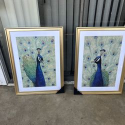 Peacock Wall Art Framed 