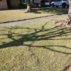 Gardening work is done, trees are pruned, leaves are collected and grass is cut.