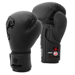 Brand New Boxing Gloves 