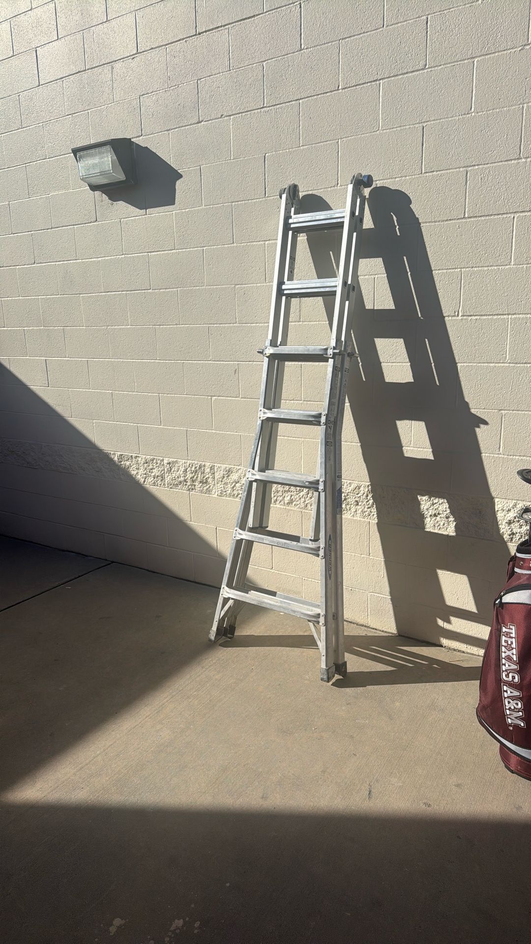 Werner Extendable Ladder