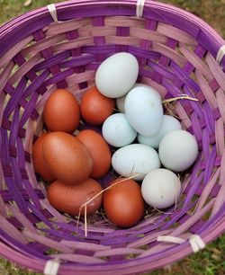 FARM FRESH EGGS! (Eustis)