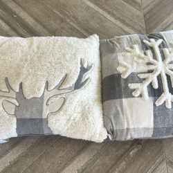 2 Christmas Decorative Pillows